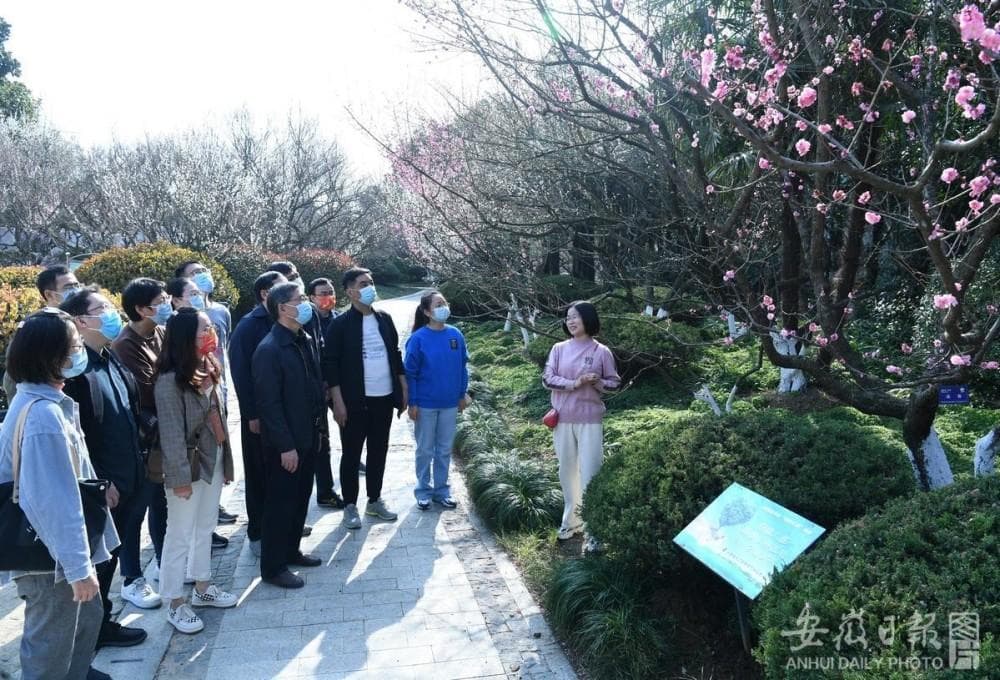 赏金船长(中国大陆)官方网站